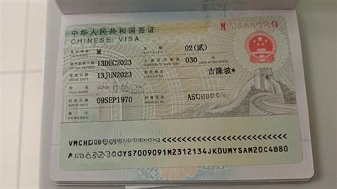 m china|china m visa requirements.